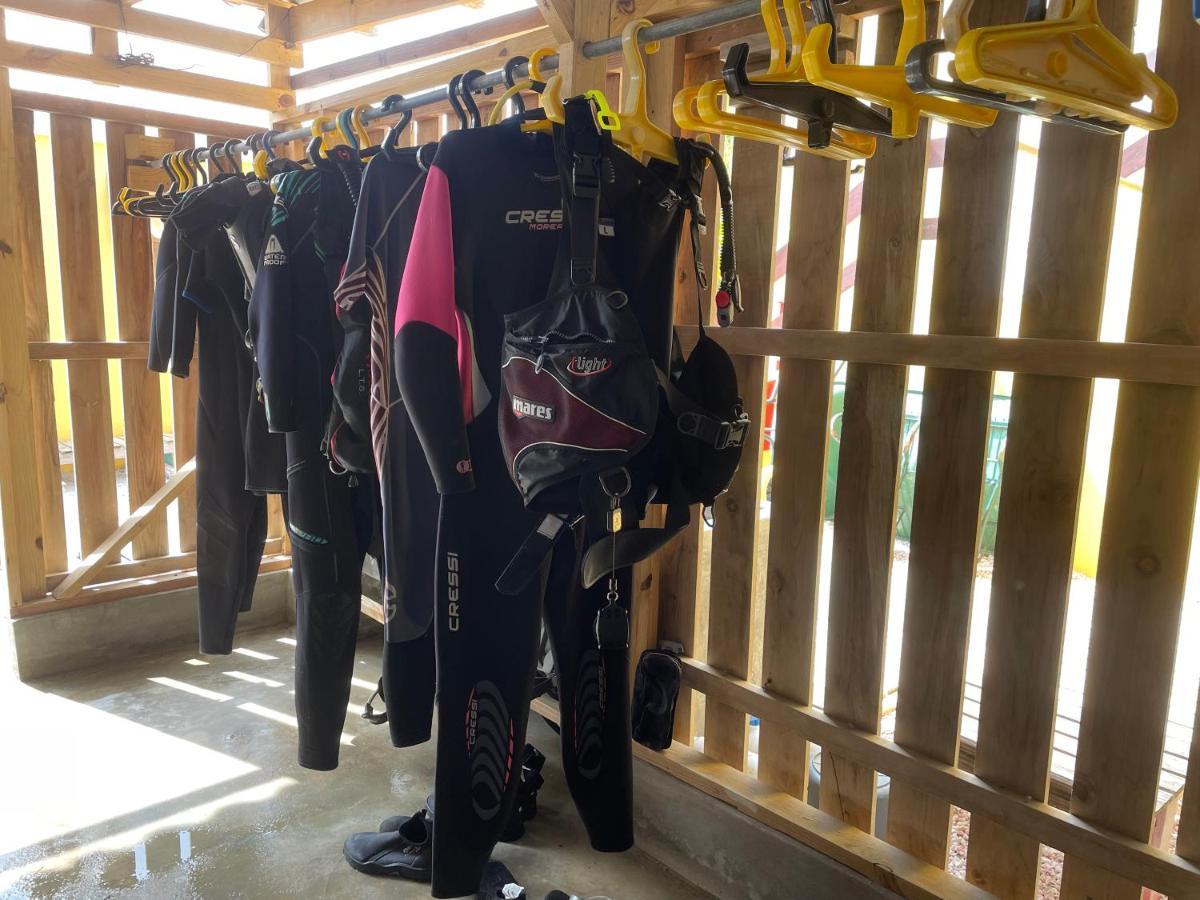 Apartament Djambo (Adults Only) Kralendijk na wyspie Bonaire Zewnętrze zdjęcie