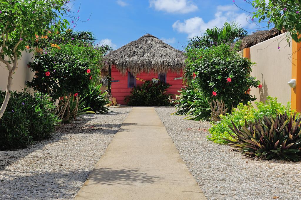 Apartament Djambo (Adults Only) Kralendijk na wyspie Bonaire Zewnętrze zdjęcie