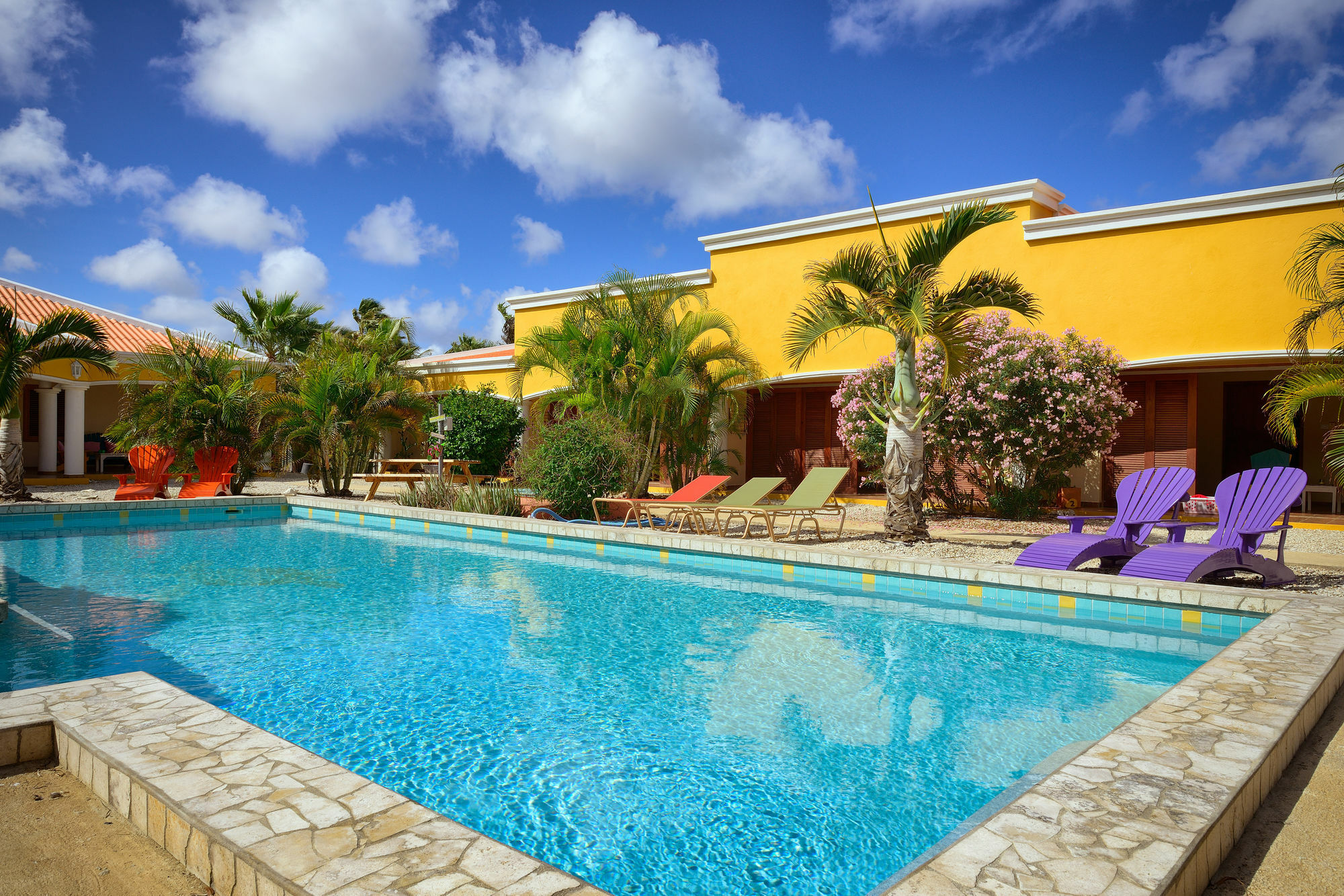 Apartament Djambo (Adults Only) Kralendijk na wyspie Bonaire Zewnętrze zdjęcie